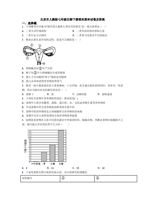 北京市人教版七年级生物下册期末期末试卷及答案