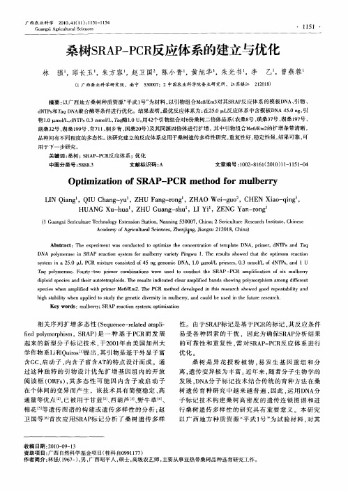 桑树SRAP-PCR反应体系的建立与优化