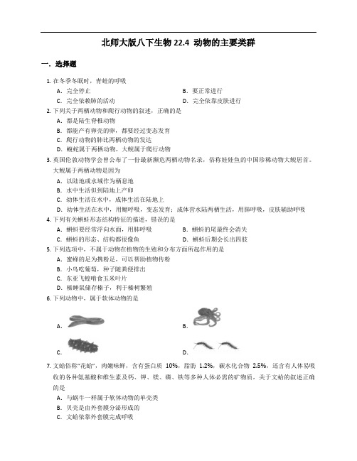 2020--2021学年北师大版八年级下册生物22.4 动物的主要类群达标练习(解析版)