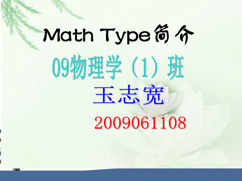 Math Type简介