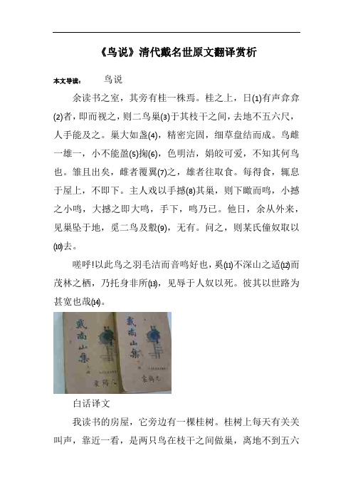 《鸟说》清代戴名世原文翻译赏析