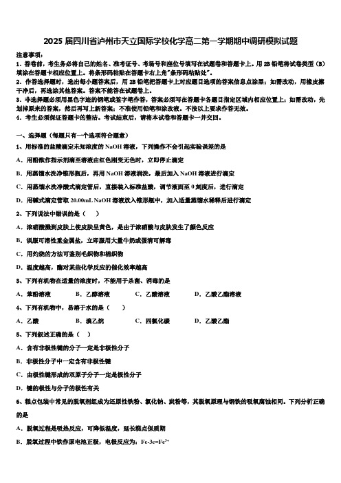 2025届四川省泸州市天立国际学校化学高二第一学期期中调研模拟试题含解析