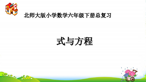 北师大版六年级下册数学课件 《式与方程》(4) (共11张PPT)