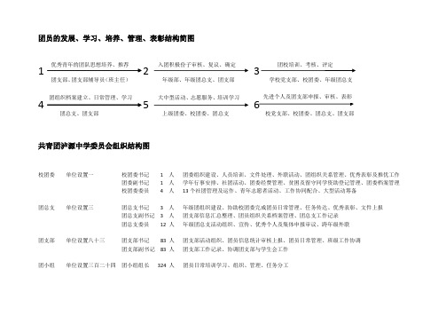 中学团组织结构图