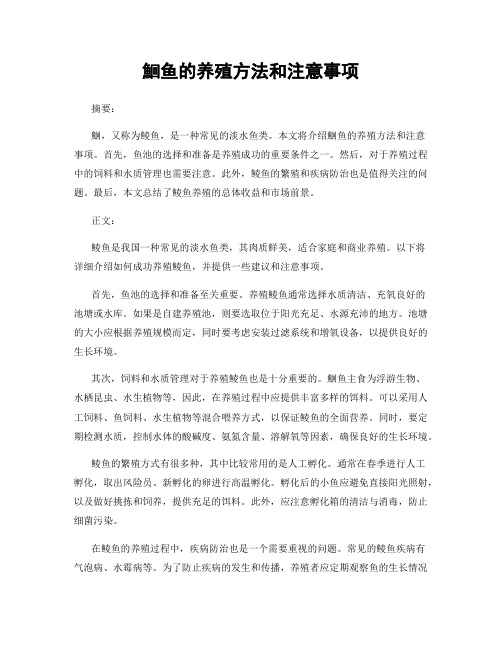 鮰鱼的养殖方法和注意事项