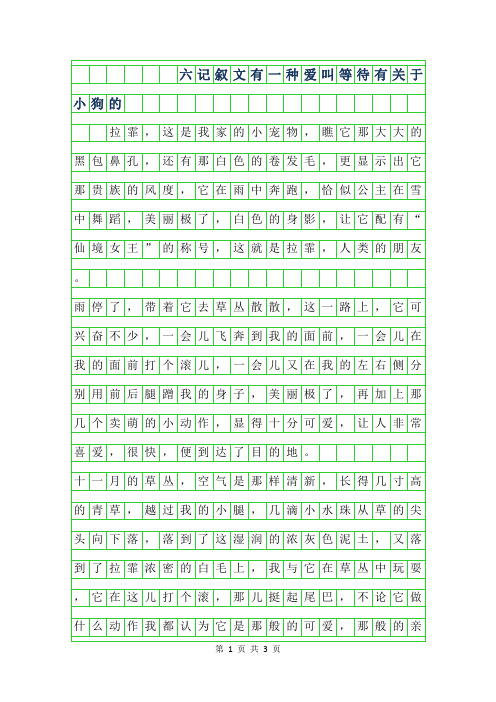 年六年级记叙文-有一种爱叫等待有关于小狗的作文600字