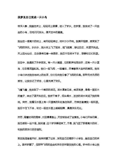 我梦见自己变成一只小鸟