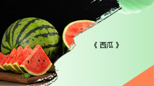 创意绘画——西瓜——美术教案PPT课件