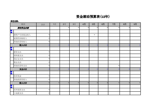 公司资金预算表