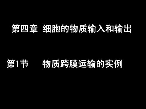 1.2.4.1物质跨膜运输实例