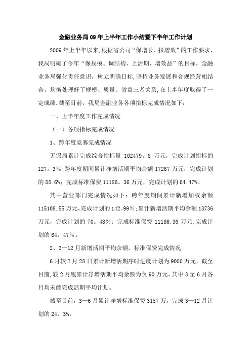 金融业务局09年上半年工作小结暨下半年工作计划