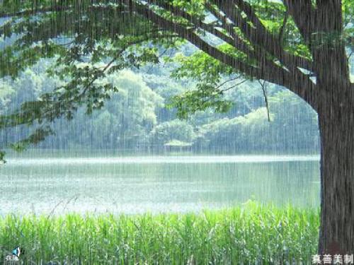 苏教版一年级语文第二册《雨点》课件