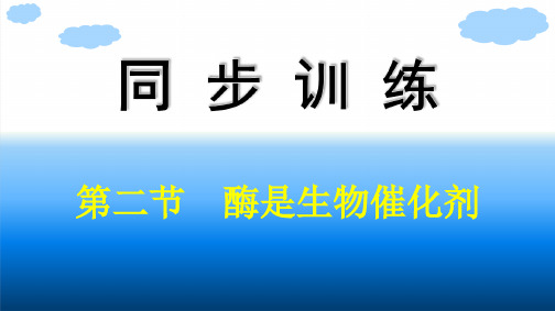 浙科版高中生物学必修1精品课件 第3章  细胞的代谢 第2节 酶是生物催化剂