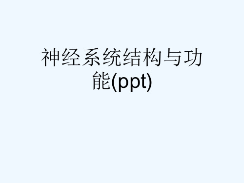 神经系统结构与功能(ppt)