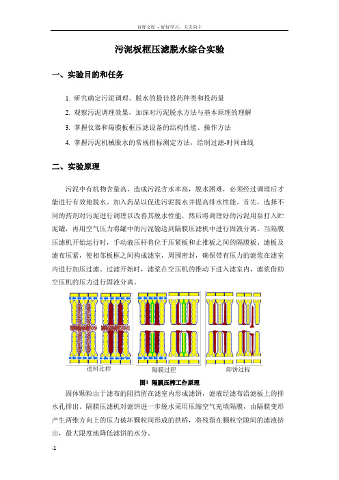 污泥板框压滤脱水综合实验