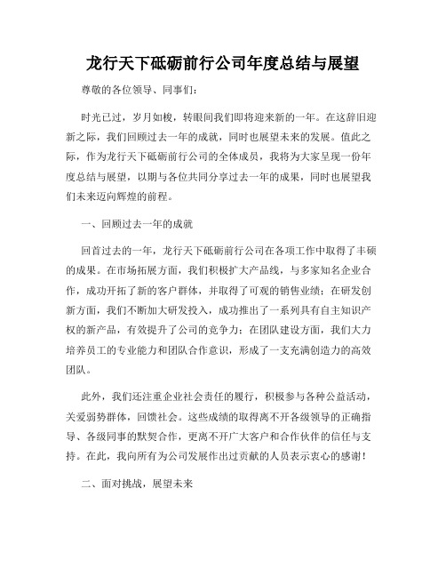 龙行天下砥砺前行公司年度总结与展望