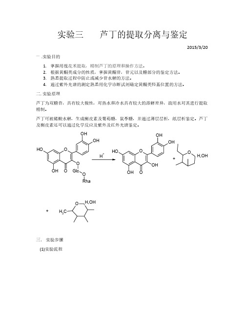 芦丁的提取与鉴定