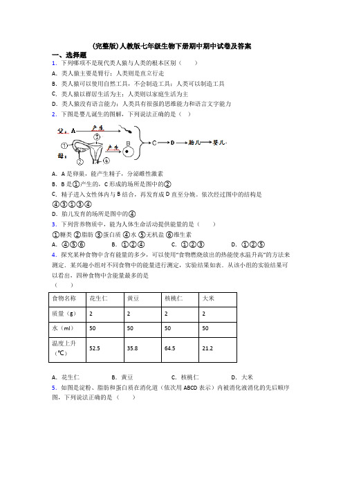 (完整版)人教版七年级生物下册期中期中试卷及答案