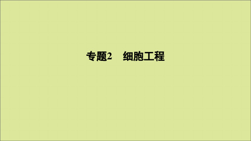2020年高中生物专题2细胞工程2.2.1动物细胞培养和核移植技术课件新人教版选修3