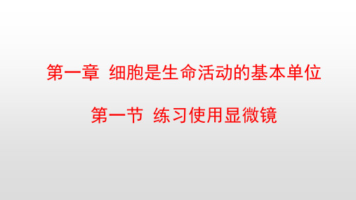 最新人教版七年级生物上册第二单元第一章细胞是生命活动的基本单位PPT