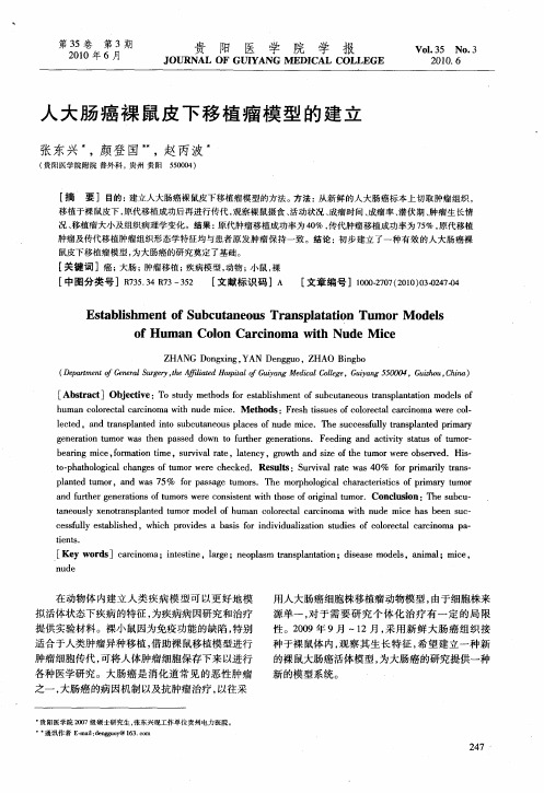 人大肠癌裸鼠皮下移植瘤模型的建立