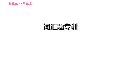 词汇题专训 练习课件 鲁教版五四学制八年级上册英语课件