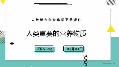 人类重要的营养物质PPT