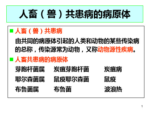 医学微生物学222324章动物源性细菌PPT课件