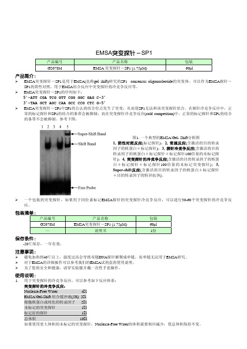 EMSA突变探针－SP1 说明书