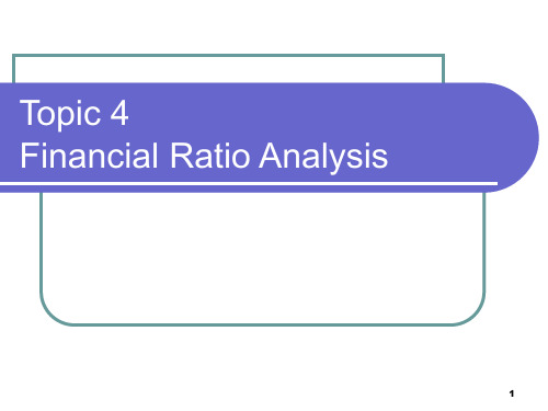 Topic 4财务比率分析