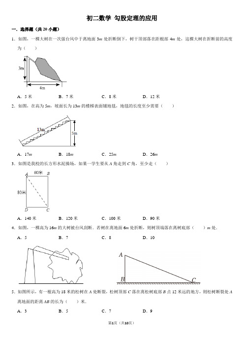 初二数学 勾股定理的应用