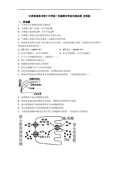 江西省南昌市第十中学高一年级期末考试生物试卷 含答案