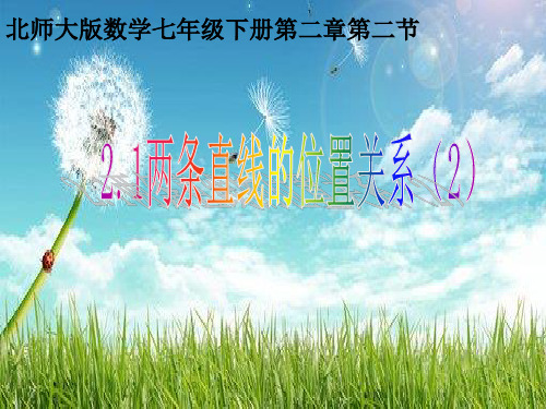北师大 版七年级下册第二章 相交线与平行线 2.1 两条直线的位置关系 垂直 课件