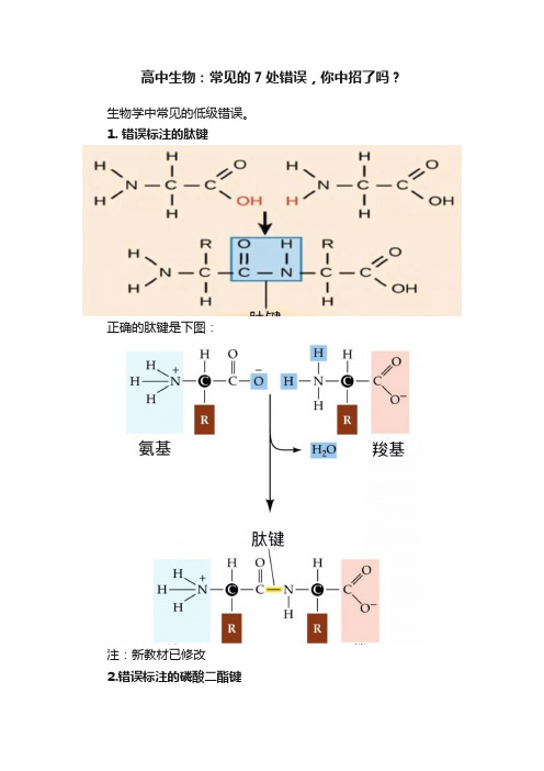 高中生物：常见的7处错误，你中招了吗？