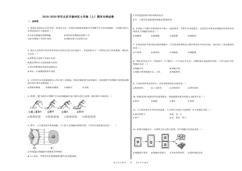 2019-2020学年北京市通州区七年级(上)期末生物试卷