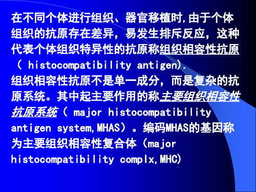 mhc及其编码分子