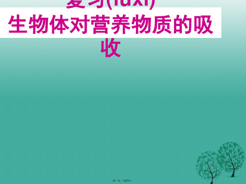 江苏省铜山区清华中学中考生物人体的消化系统复习课件