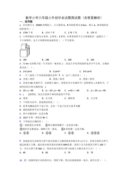 数学小学六年级小升初毕业试题测试题(含答案解析)