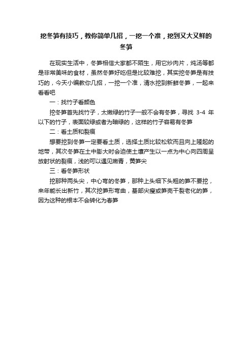 挖冬笋有技巧，教你简单几招，一挖一个准，挖到又大又鲜的冬笋