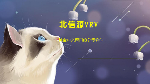 北信源VRV