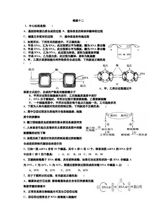 晚练十二教学文档