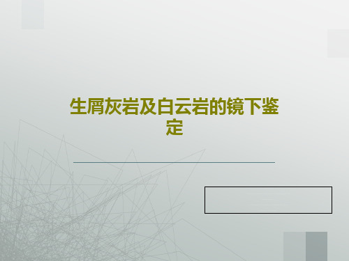 生屑灰岩及白云岩的镜下鉴定共59页文档