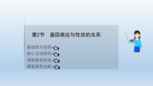 新人教版必修2基因表达与性状的关系(30张)课件