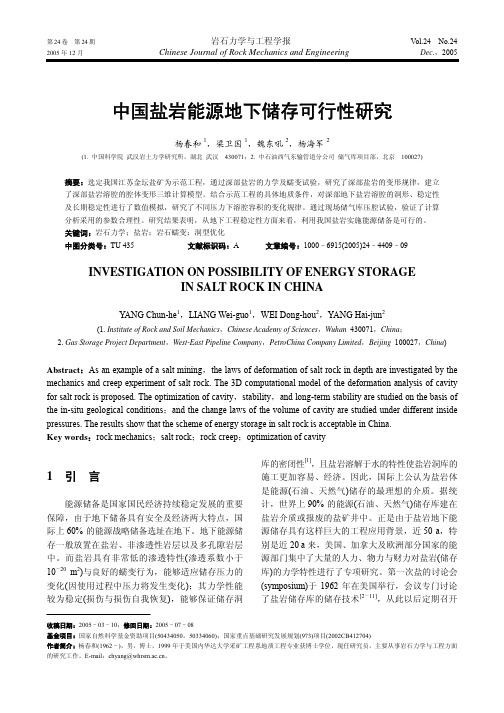 中国盐岩能源地下储存可行性研究