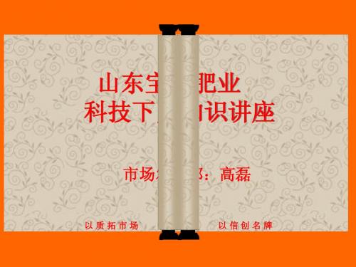 山东宝通肥业长效缓释肥脲甲醛产品推广会.ppt