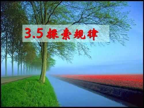 3.5探索规律