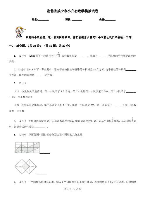 湖北省咸宁市小升初数学模拟试卷