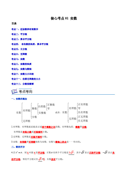 核心考点01 实数(原卷版)