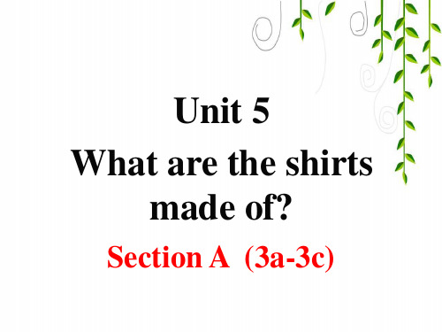 人教版九年级下册英语Unit 5 Section A (3a-3c)课件