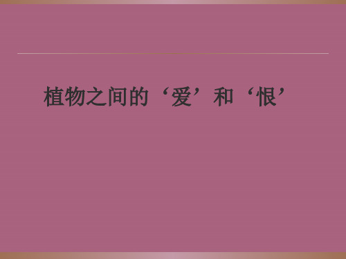 三年级下册语文阅读-29.植物之间的“爱”和“恨”  l  西师大版 ppt课件